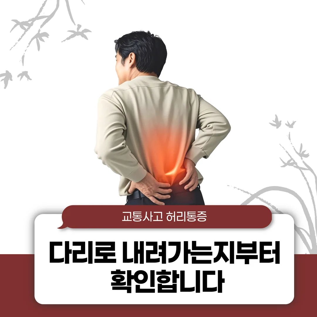 전주 교통사고 허리통증 — 다리로 내려가는지부터 확인합니다