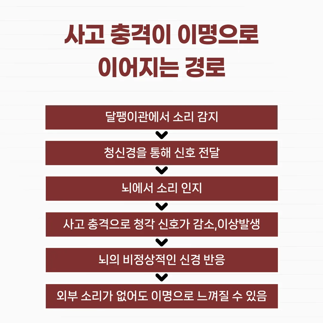 사고 충격이 이명으로 이어지는 경로를 나타낸 도식