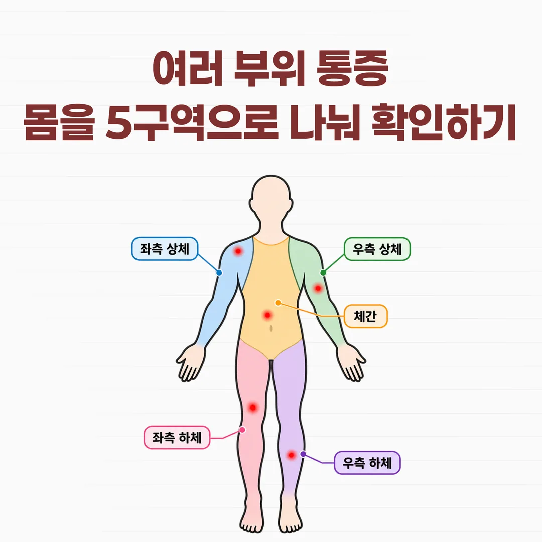상체 좌우·하체 좌우·체간 다섯 구역으로 나누어 아픈 부위를 표시하는 통증 지도 도식