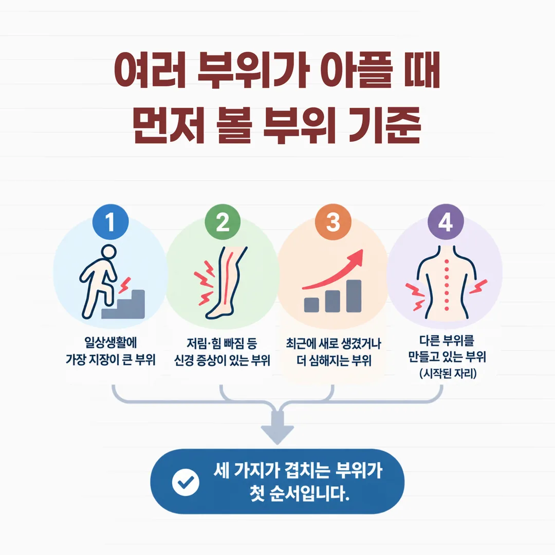 일상 지장·신경 증상·변화 방향·시작 순서로 먼저 다룰 부위를 정하는 판단 흐름도