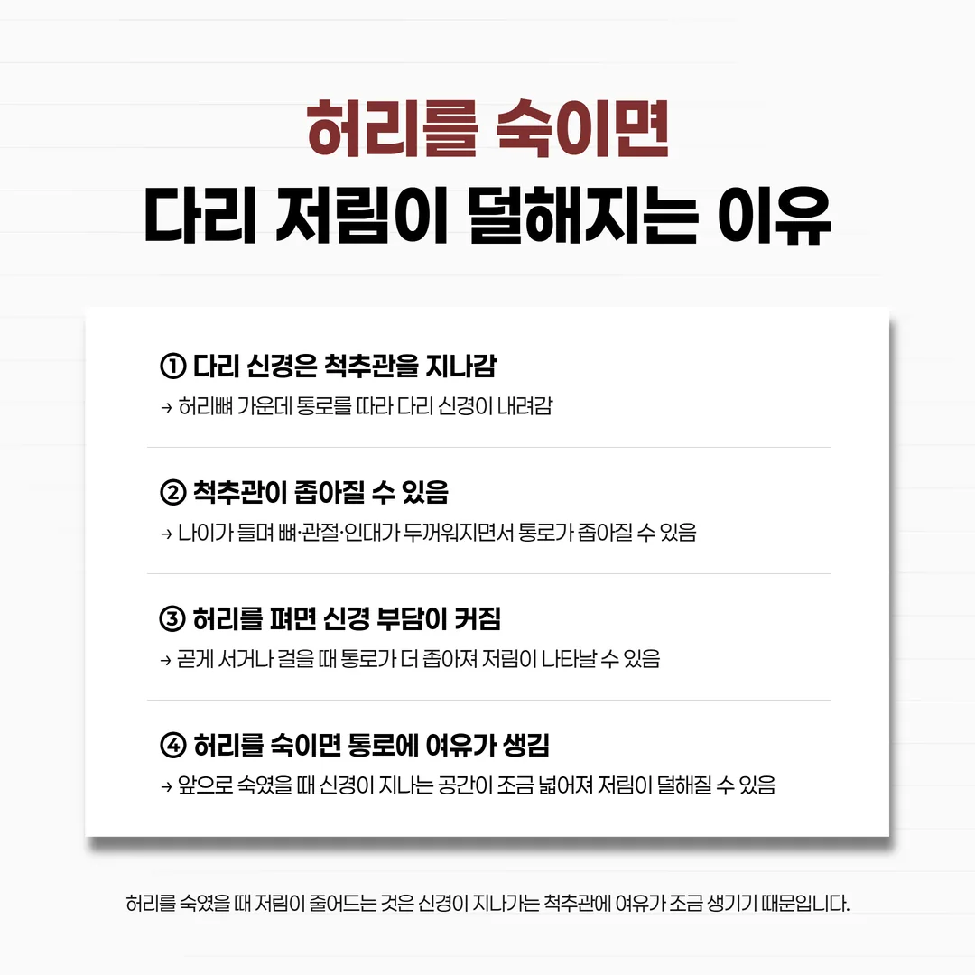 허리를 펼 때와 앞으로 숙일 때 척추관 신경 통로 넓이가 달라지는 비교 개념도